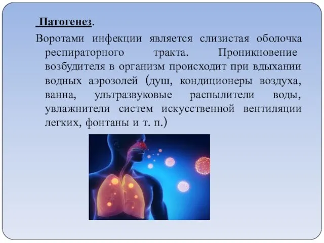 Патогенез. Воротами инфекции является слизистая оболочка респираторного тракта. Проникновение возбудителя в организм