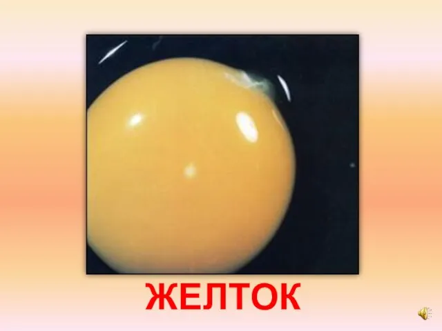 ЖЕЛТОК