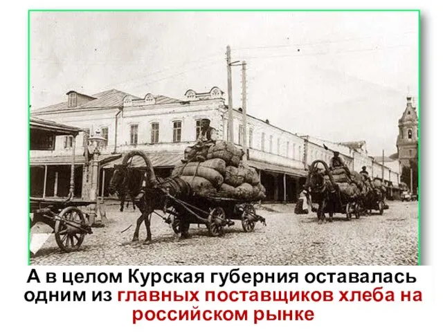 А в целом Курская губерния оставалась одним из главных поставщиков хлеба на российском рынке