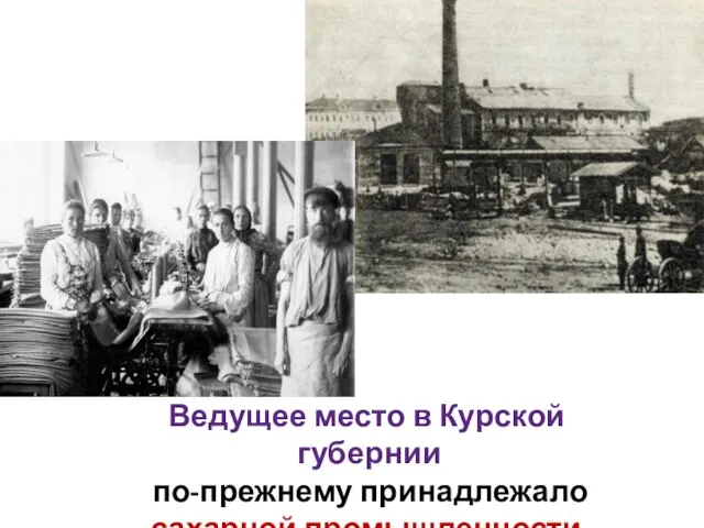 Ведущее место в Курской губернии по-прежнему принадлежало сахарной промышленности.