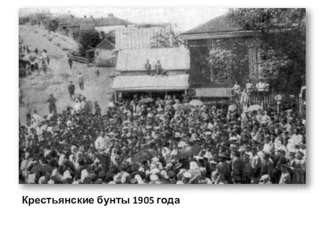 Крестьянские бунты 1905 года
