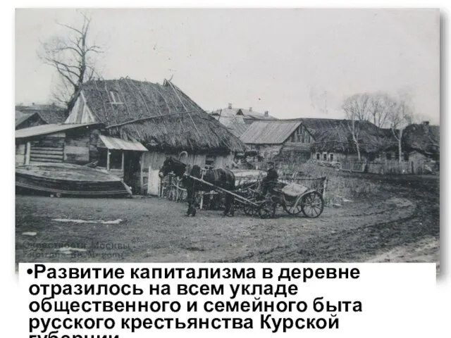 Развитие капитализма в деревне отразилось на всем укладе общественного и семейного быта русского крестьянства Курской губернии.