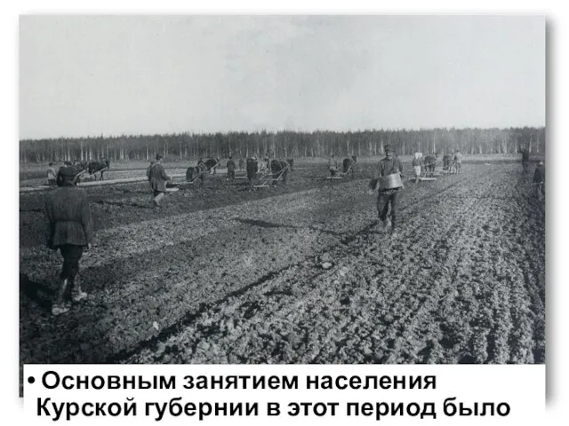 Основным занятием населения Курской губернии в этот период было земледелие.