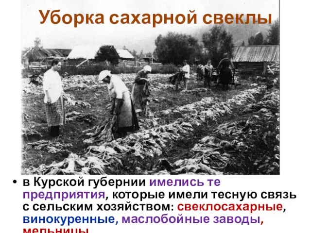 в Курской губернии имелись те предприятия, которые имели тесную связь с сельским