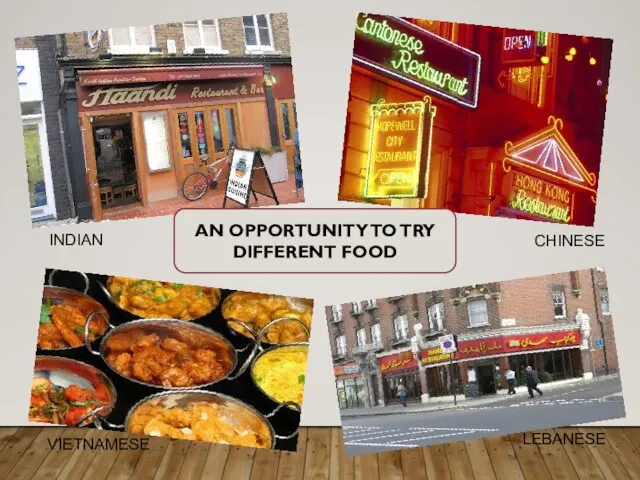INDIAN VIETNAMESE CHINESE LEBANESE AN OPPORTUNITY TO TRY DIFFERENT FOOD