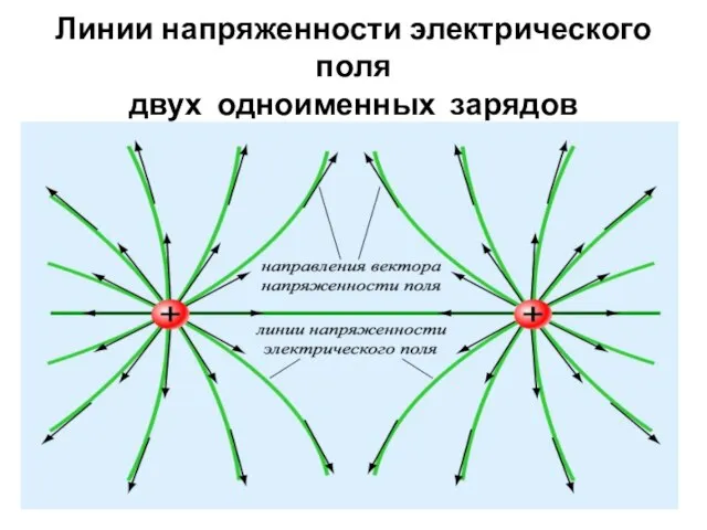 Линии напряженности электрического поля двух одноименных зарядов