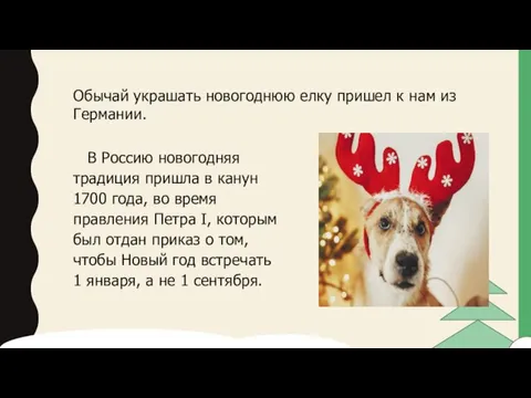 В Россию новогодняя традиция пришла в канун 1700 года, во время правления