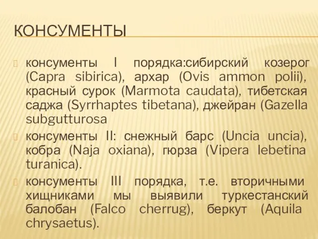 КОНСУМЕНТЫ консументы I порядка:сибирский козерог (Cаpra sibirica), архар (Ovis ammon polii), красный