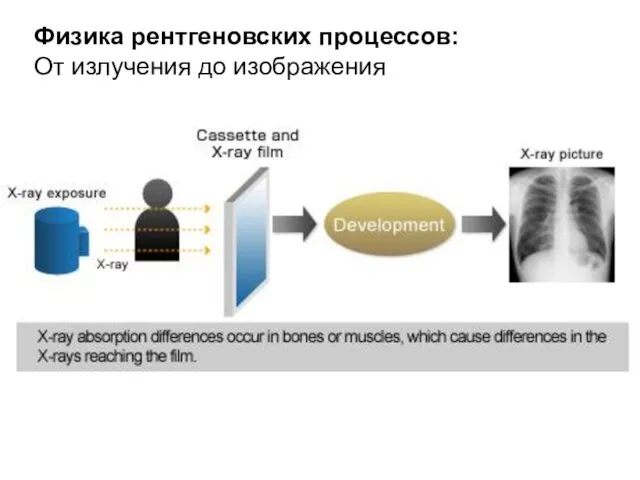 Физика рентгеновских процессов: От излучения до изображения