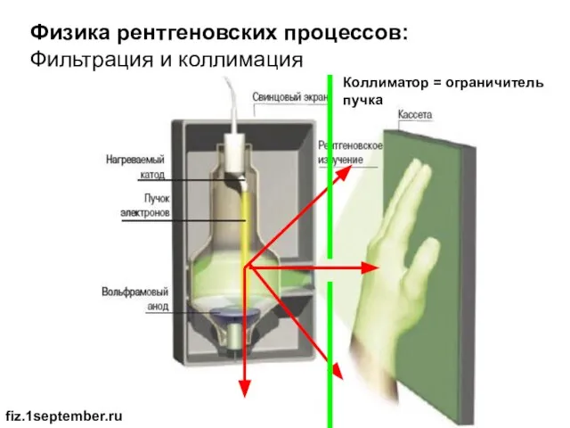 Физика рентгеновских процессов: Фильтрация и коллимация fiz.1september.ru Коллиматор = ограничитель пучка
