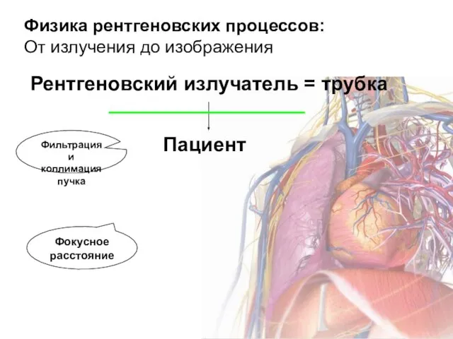 Физика рентгеновских процессов: От излучения до изображения Рентгеновский излучатель = трубка Пациент