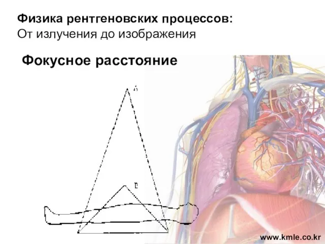 Физика рентгеновских процессов: От излучения до изображения Фокусное расстояние www.kmle.co.kr