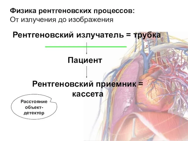 Физика рентгеновских процессов: От излучения до изображения Рентгеновский излучатель = трубка Пациент