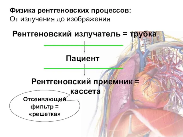 Физика рентгеновских процессов: От излучения до изображения Рентгеновский излучатель = трубка Пациент