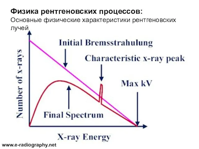 Физика рентгеновских процессов: Основные физические характеристики рентгеновских лучей www.e-radiography.net