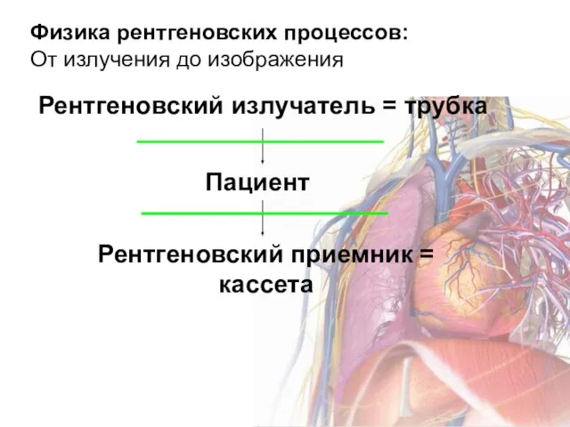 Физика рентгеновских процессов: От излучения до изображения Рентгеновский излучатель = трубка Пациент Рентгеновский приемник = кассета