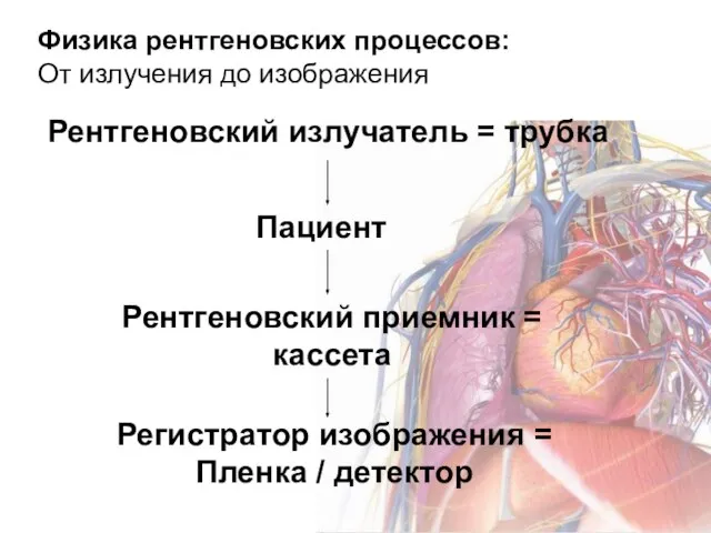 Физика рентгеновских процессов: От излучения до изображения Рентгеновский излучатель = трубка Пациент