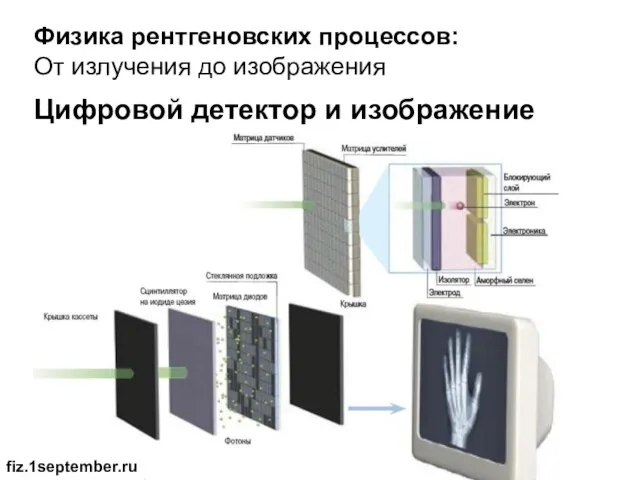 Физика рентгеновских процессов: От излучения до изображения Цифровой детектор и изображение fiz.1september.ru