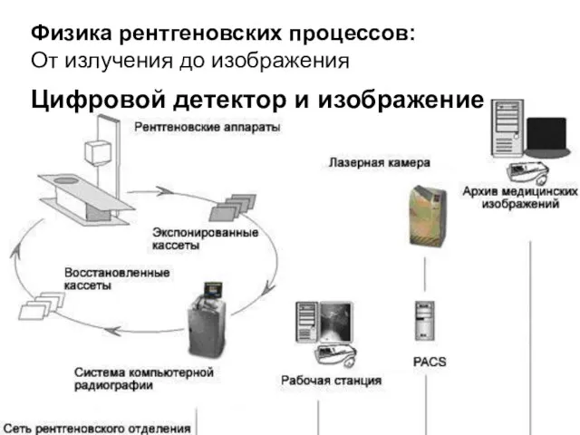 Физика рентгеновских процессов: От излучения до изображения Цифровой детектор и изображение