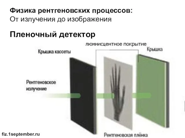 Физика рентгеновских процессов: От излучения до изображения Пленочный детектор fiz.1september.ru