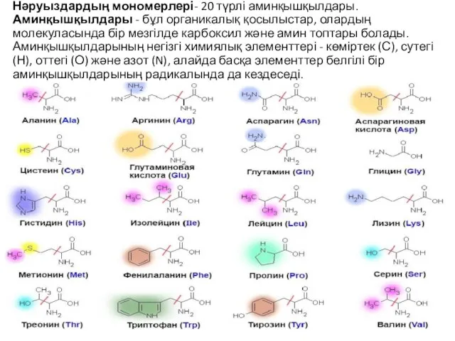 Нәруыздардың мономерлері- 20 түрлі аминқышқылдары. Аминқышқылдары - бұл органикалық қосылыстар, олардың молекуласында