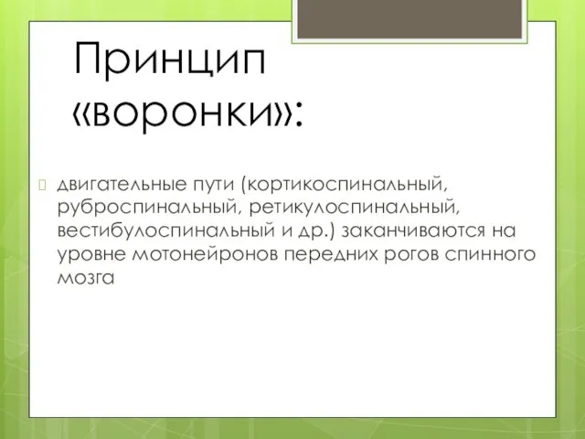 Принцип «воронки»: двигательные пути (кортикоспинальный, руброспинальный, ретикулоспинальный, вестибулоспинальный и др.) заканчиваются на