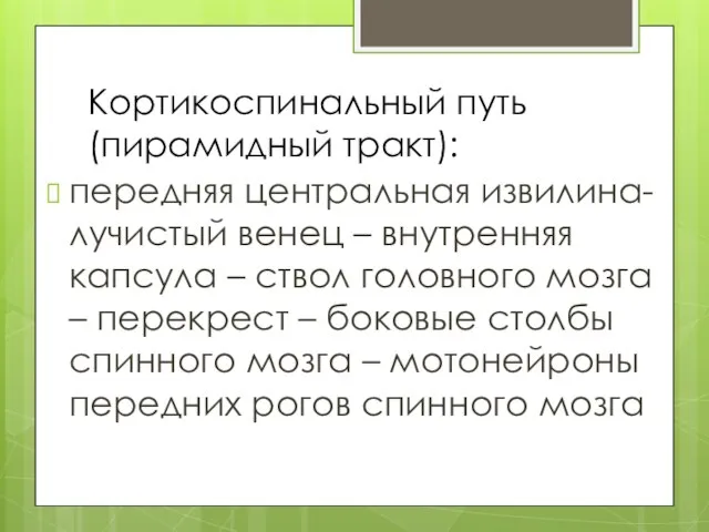 Кортикоспинальный путь (пирамидный тракт): передняя центральная извилина- лучистый венец – внутренняя капсула