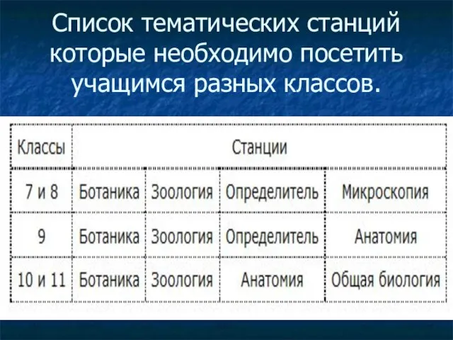 Список тематических станций которые необходимо посетить учащимся разных классов.