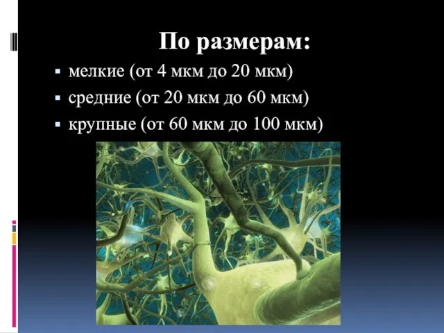 По размерам: мелкие (от 4 мкм до 20 мкм) средние (от 20