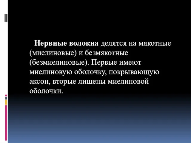 Нервные волокна делятся на мякотные (миелиновые) и безмякотные (безмиелиновые). Первые имеют миелиновую