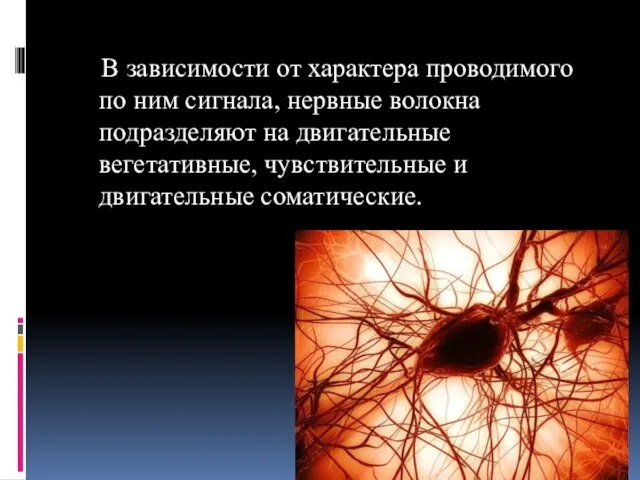 В зависимости от характера проводимого по ним сигнала, нервные волокна подразделяют на