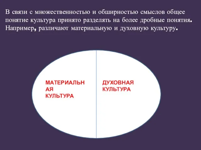 В связи с множественностью и обширностью смыслов общее понятие культура принято разделять