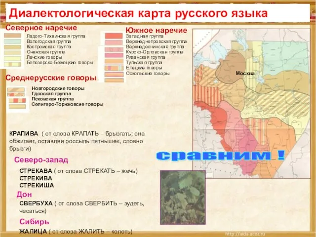 Диалектологическая карта русского языка Москва Ладого-Тихвинская группа Вологодская группа Костромская группа Онежская