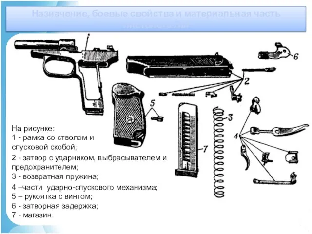 Назначение, боевые свойства и материальная часть пистолета ПМ На рисунке: 1 -