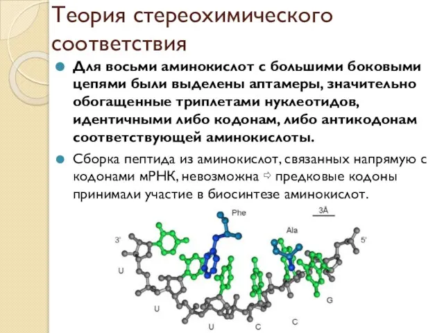 Теория стереохимического соответствия Для восьми аминокислот с большими боковыми цепями были выделены