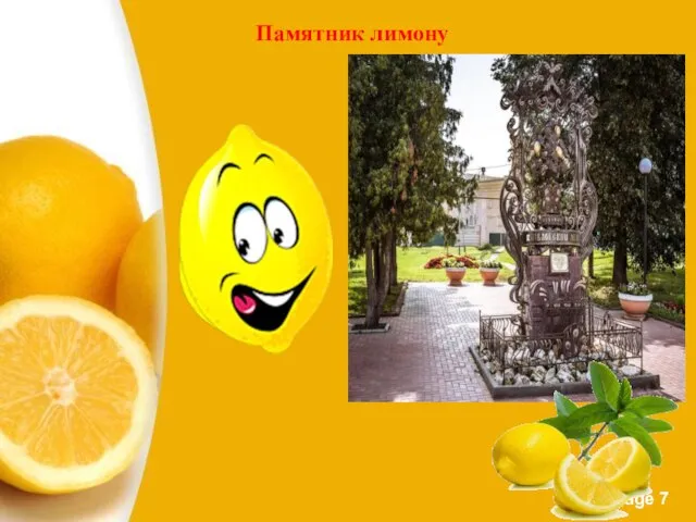 Памятник лимону
