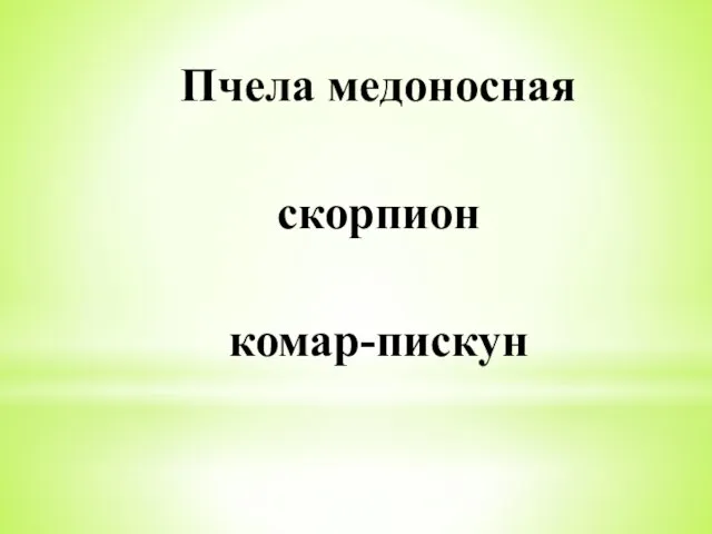 Пчела медоносная скорпион комар-пискун