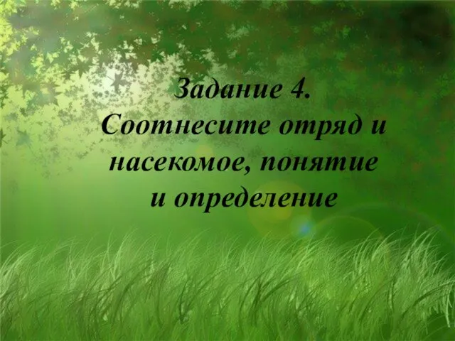 Задание 4. Соотнесите отряд и насекомое, понятие и определение