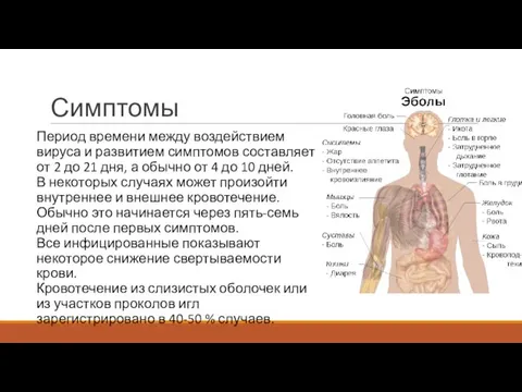 Симптомы Период времени между воздействием вируса и развитием симптомов составляет от 2