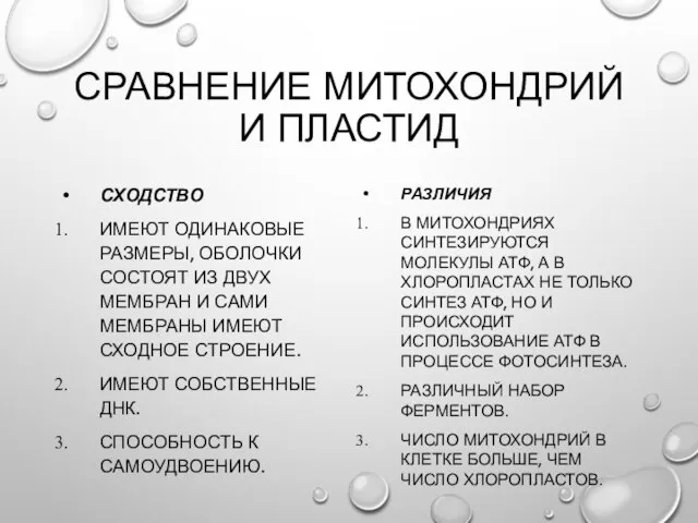 СРАВНЕНИЕ МИТОХОНДРИЙ И ПЛАСТИД СХОДСТВО ИМЕЮТ ОДИНАКОВЫЕ РАЗМЕРЫ, ОБОЛОЧКИ СОСТОЯТ ИЗ ДВУХ