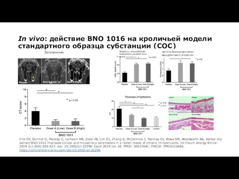In vivo: действие BNO 1016 на кроличьей модели стандартного образца субстанции (СОС)
