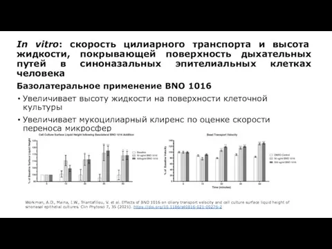 In vitro: скорость цилиарного транспорта и высота жидкости, покрывающей поверхность дыхательных путей