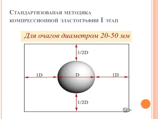 Стандартизованая методика компрессионной эластографии I этап