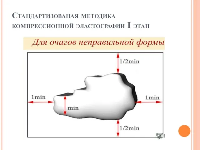 Стандартизованая методика компрессионной эластографии I этап