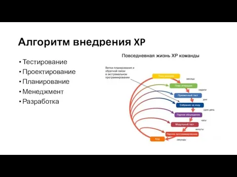 Алгоритм внедрения XP Тестирование Проектирование Планирование Менеджмент Разработка