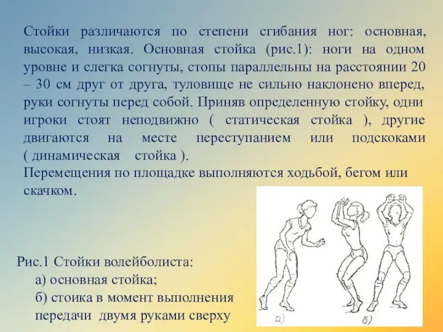 Стойки различаются по степени сгибания ног: основная, высокая, низкая. Основная стойка (рис.1):