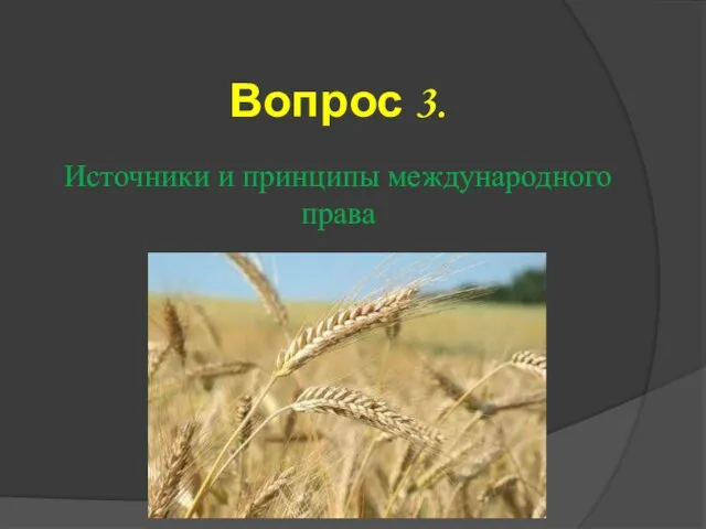 Вопрос 3. Источники и принципы международного права