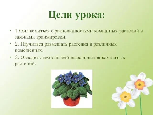 Цели урока: 1.Ознакомиться с разновидностями комнатных растений и законами аранжировки. 2. Научиться