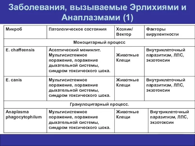 Заболевания, вызываемые Эрлихиями и Анаплазмами (1)