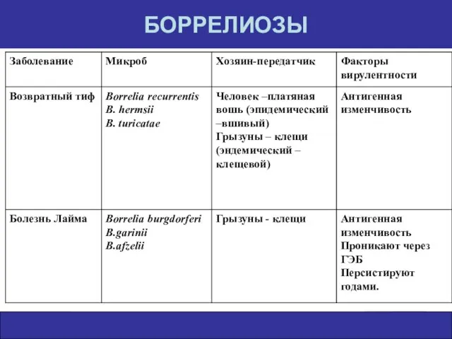 БОРРЕЛИОЗЫ